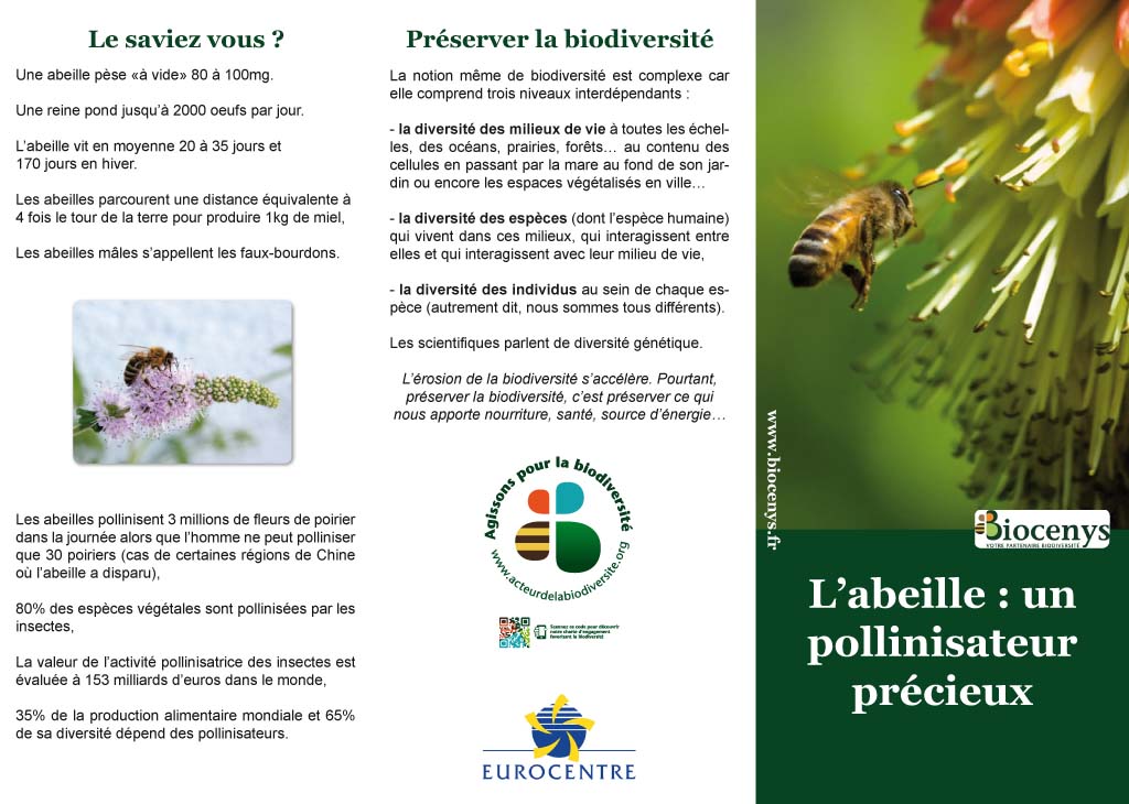 Eurocentre : nos ruchers